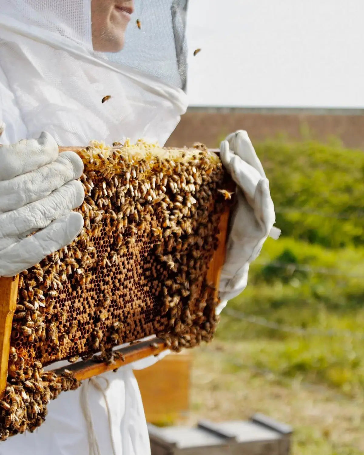 La importancia de las abejas: entrevista con Frida Rivera por Revista Glamour