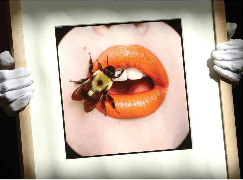 Monarca de la Colmena por Vogue México Abeja Reyna